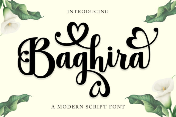 Baghira: A Elegant Script Font for Business