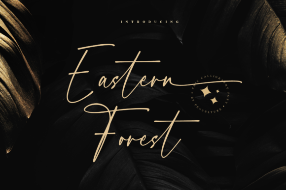 Eastern Forest Font for Professional Branding
