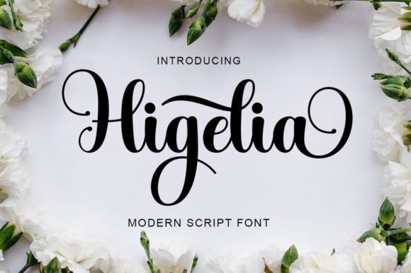 Higelia: A Script Font for Elegant Branding