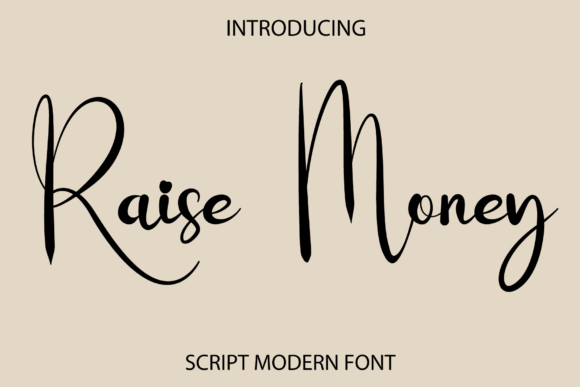 Raise Money Font Review