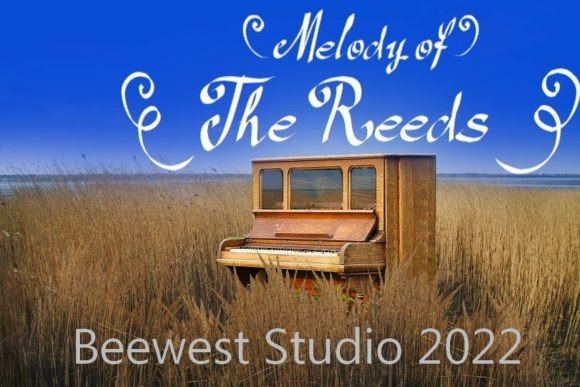 Reeds: A Handwritten Font for Editorial Design