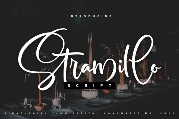 Stramillo: A Beautiful Script Font